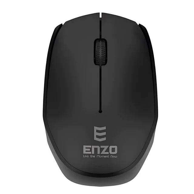 enzo m-171 mouse amooedison