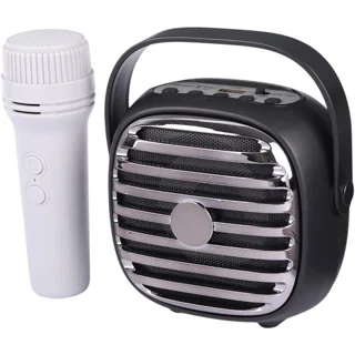 اسپیکر karaoke KTS1943