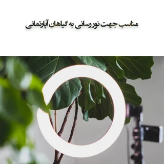 رینگ لایت مدل LJJ-26 RGB-26cm 103078323