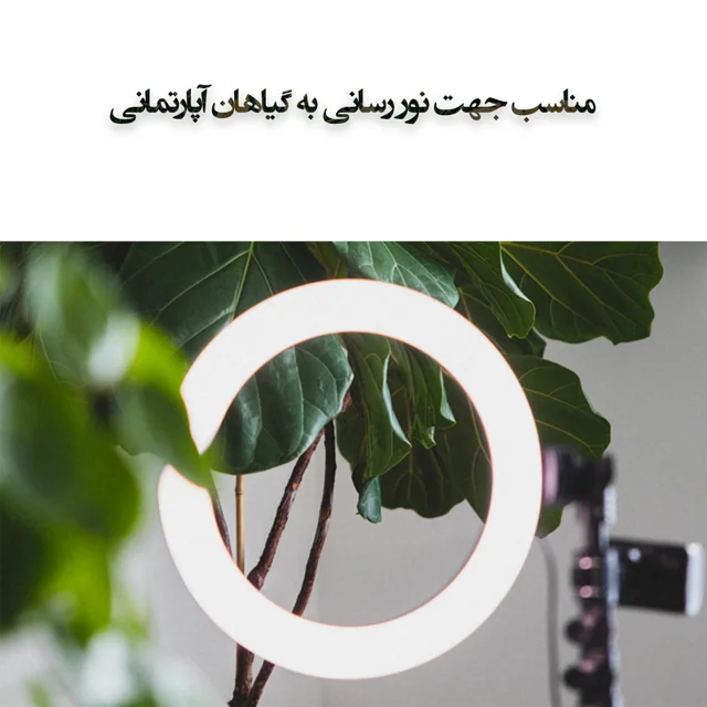 رینگ لایت مدل LJJ-26 RGB-26cm 103078323